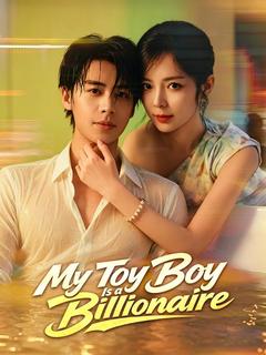 My Toy Boy Is a Billionaire