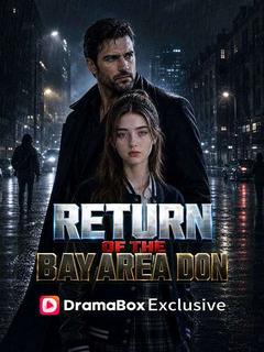 Return of the Bay Area Don poster