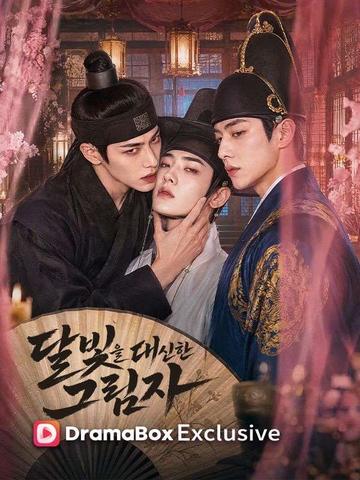 달빛을 대신한 그림자