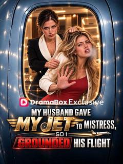 My Husband Gave My Jet to Mistress, So I Grounded His Flight