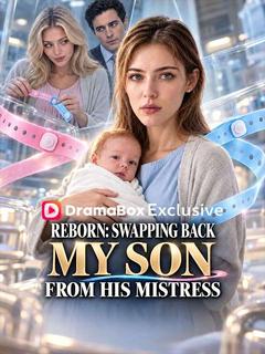 Reborn: Swapping Back My Son from His Mistress poster