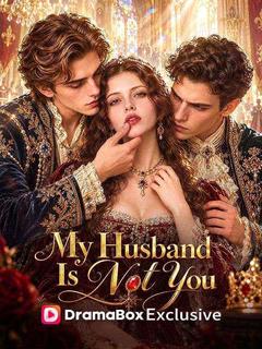 My Husband Is Not You poster