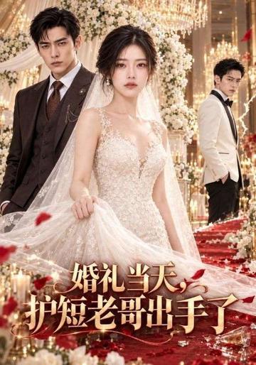 婚礼当天,护短老哥出手了