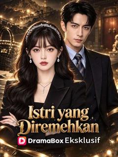Istri yang Diremehkan