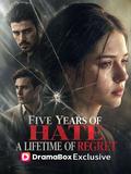 Five Years of Hate, a Lifetime of Regret poster