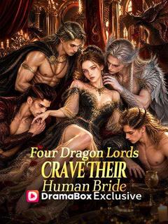 Four Dragon Lords Crave Their Human Bride