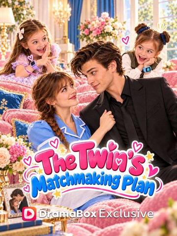 The Twin's Matchmaking Plan